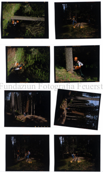 Waldarbeit, Wald Ardez