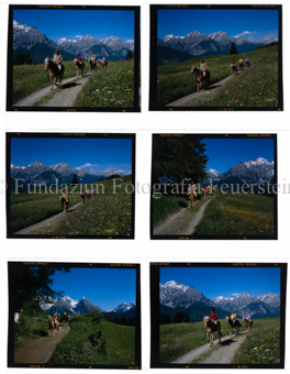 Reiten 