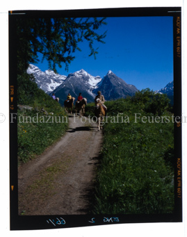 Reiten