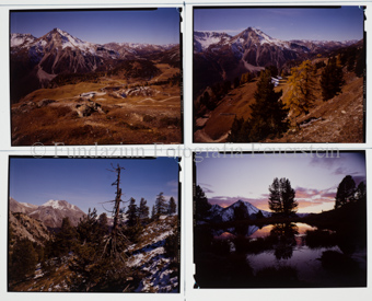 Alp da Munt, Buffalora