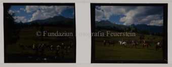 Reitergruppe Sommer