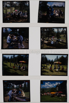 Sportfest, Picknick, Sommer