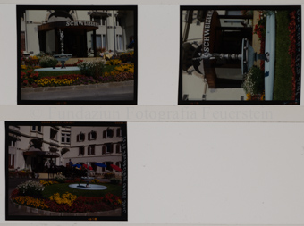 Schweizerhof Vulpera