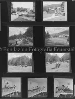 Diverse Bilder
