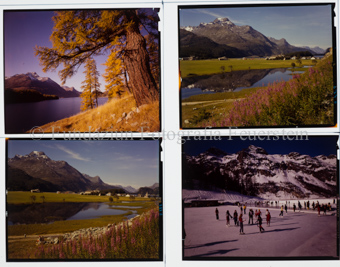 Natur Sommer / Winter, Sils