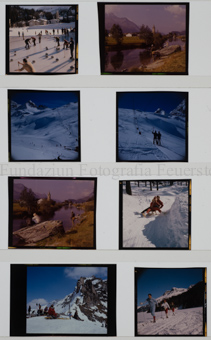 Natur Sils, diverse Bilder