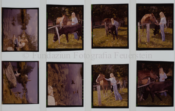 Frau mit Pferd, Bach 