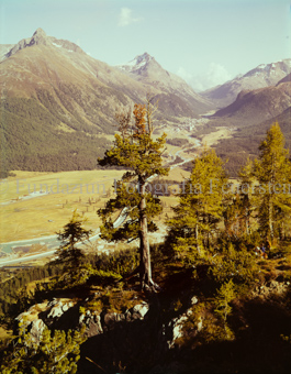 Blick von Samedan auf Pontresina