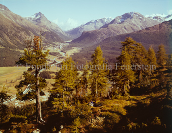 Blick auf Pontresina und Rosegtal