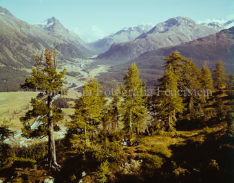 Blick auf Pontresina
