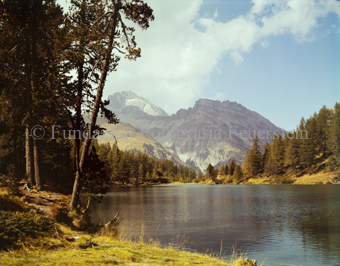 Palpuognasee, Albula