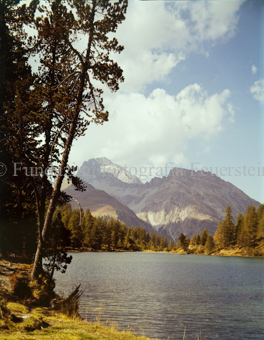 Palpuognasee, Albula