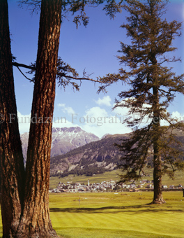 Samedan Dorf, zwischen Baumstämmen durch