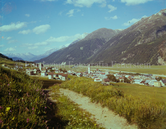 Samedan Dorf mit Blumenwiese, Feldweg gegen Bever