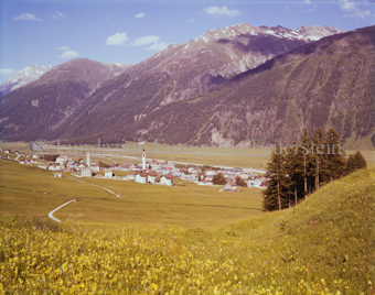 Samedan Dorf mit Blumenwiese, Feldweg gegen Bever