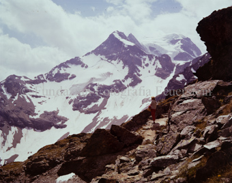 Piz Cambrena, Diavolezza