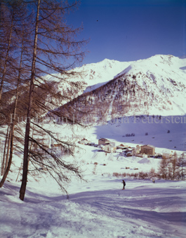 Samnaun Dorf, links Bäume, Winter, mit Skifahrer