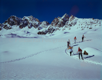 Samnaun Alp Trida, Grübelekopf