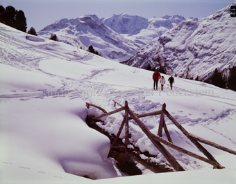 Alp Languart mit Piz Palü