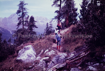Vier Wanderer in Berglandschaft