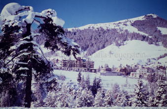 schneebedeckte Berglandschaft