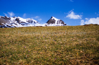 Berglandschaft