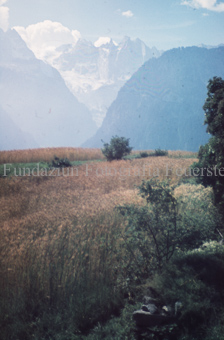 Getreide in Berglandschaft