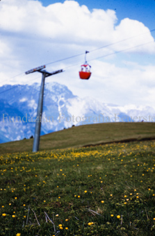Gondelseilbahn über Blumenwiese