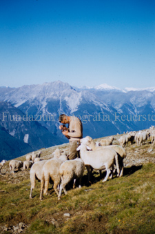 Schafherde in felsiger Berglandschaft mit Fotograf