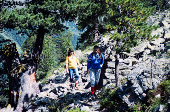Zwei Frauen beim Wandern neben Felsmauer im Arvenwald