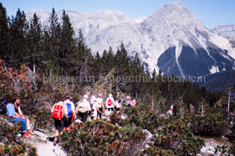 Wanderergruppe in Arvenwald
