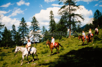 Fünf Reiter auf Wiese in den Bergen