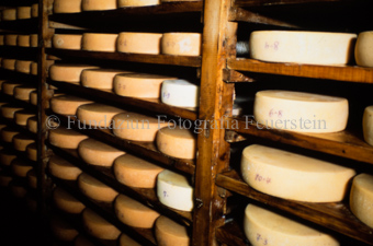 Käseherstellung, Lagerung im Keller auf Regalen