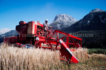Bauer auf Erntemaschine im Getreidefeld