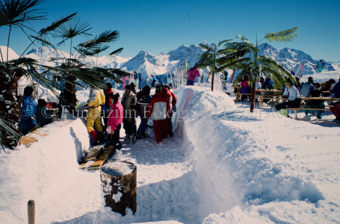 Personen an Tischen im Schnee, künstliche Palmen und Kokosnüsse