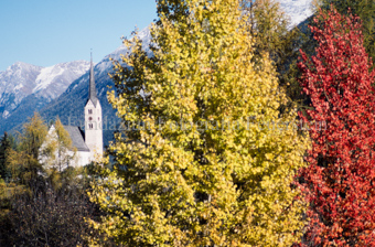 Laubbäume im Vordergrund mit Kirche im Herbst