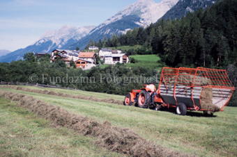 Bauer auf Traktor mit Heuwagen beim Heuaufsammeln