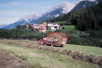 Bauer auf Traktor mit Heuwagen beim Heuaufsammeln