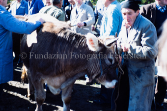 Viehmarkt, Männer mit Kuh