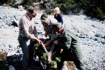 Drei Männer und ein Knabe mit erlegtem Steinbock