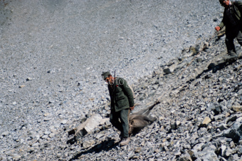 Zwei Jäger tragen ausgeweideten Steinbock über Felslandschaft