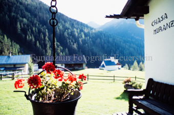 Blumentopf an Haus «Chasa Muranz...» in S-charl