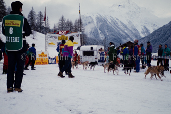Alpirod Hundeschlittenrennen, Gespann im Ziel «Böt»