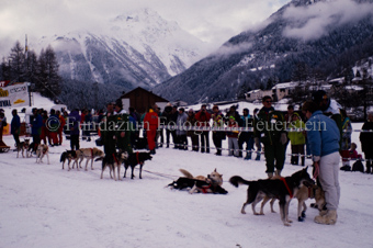 Alpirod Hundeschlittenrennen, Gespann im Ziel «Böt»
