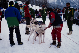 Alpirod Hundeschlittenrennen, Helfer bei Hunden