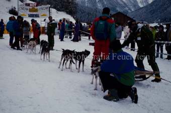 Alpirod Hundeschlittenrennen, Helfer bei Hunden