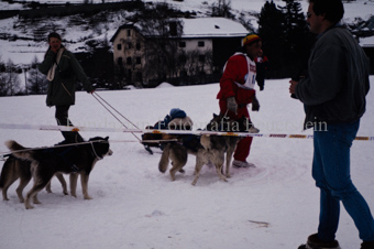 Alpirod Hundeschlittenrennen, Helfer mit Hunden neben Piste