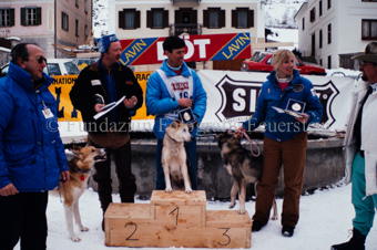 Alpirod Hundeschlittenrennen, Podest mit Gewinnern und Leithunden