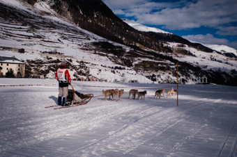 Alpirod Hundeschlittenrennen, Fahrer auf Schlitten mit Gespann