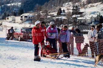 Alpirod Hundeschlittenrennen, Gespann im Ziel «Böt»